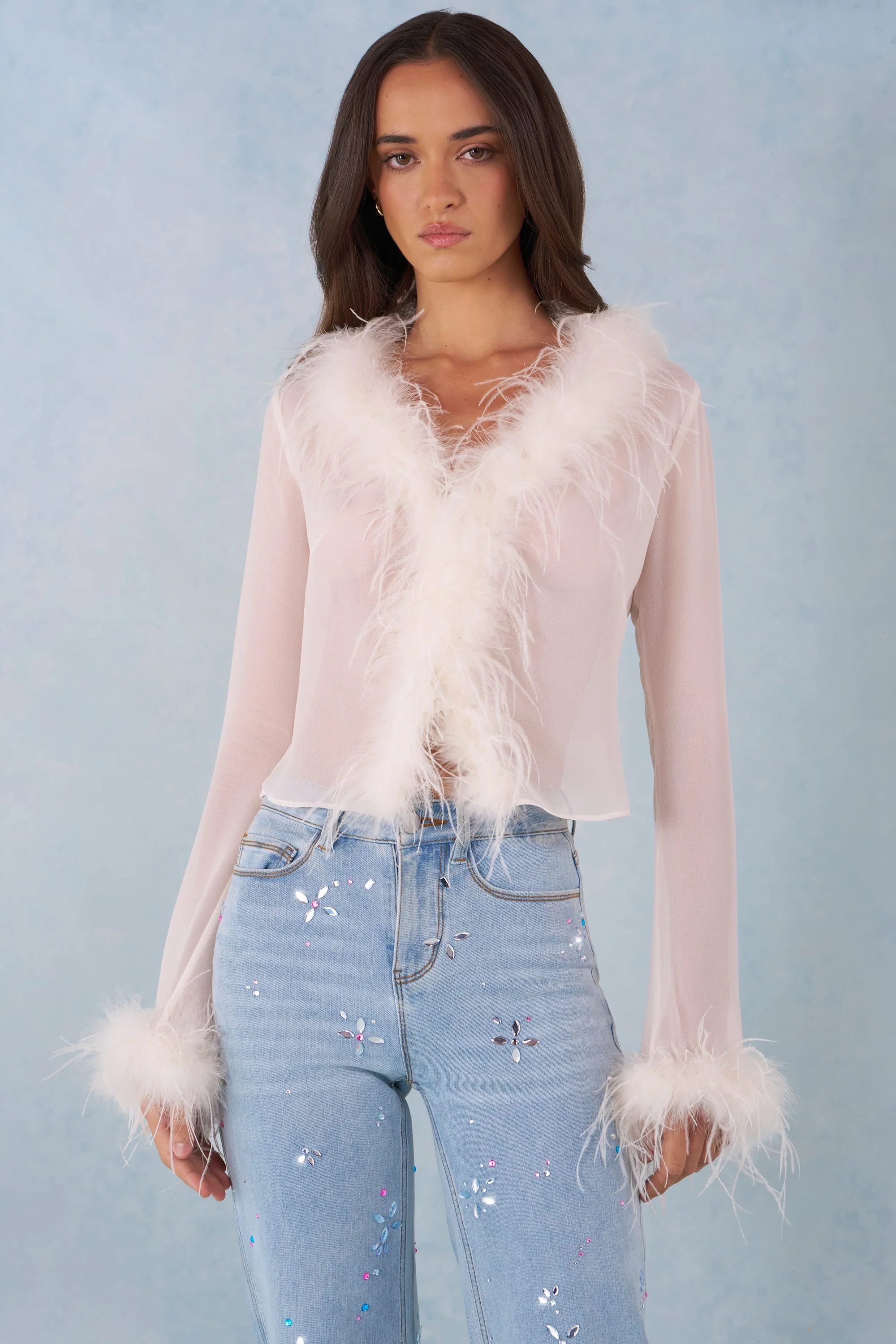 Feather Trim Sheer Top in Ivory - Image 5