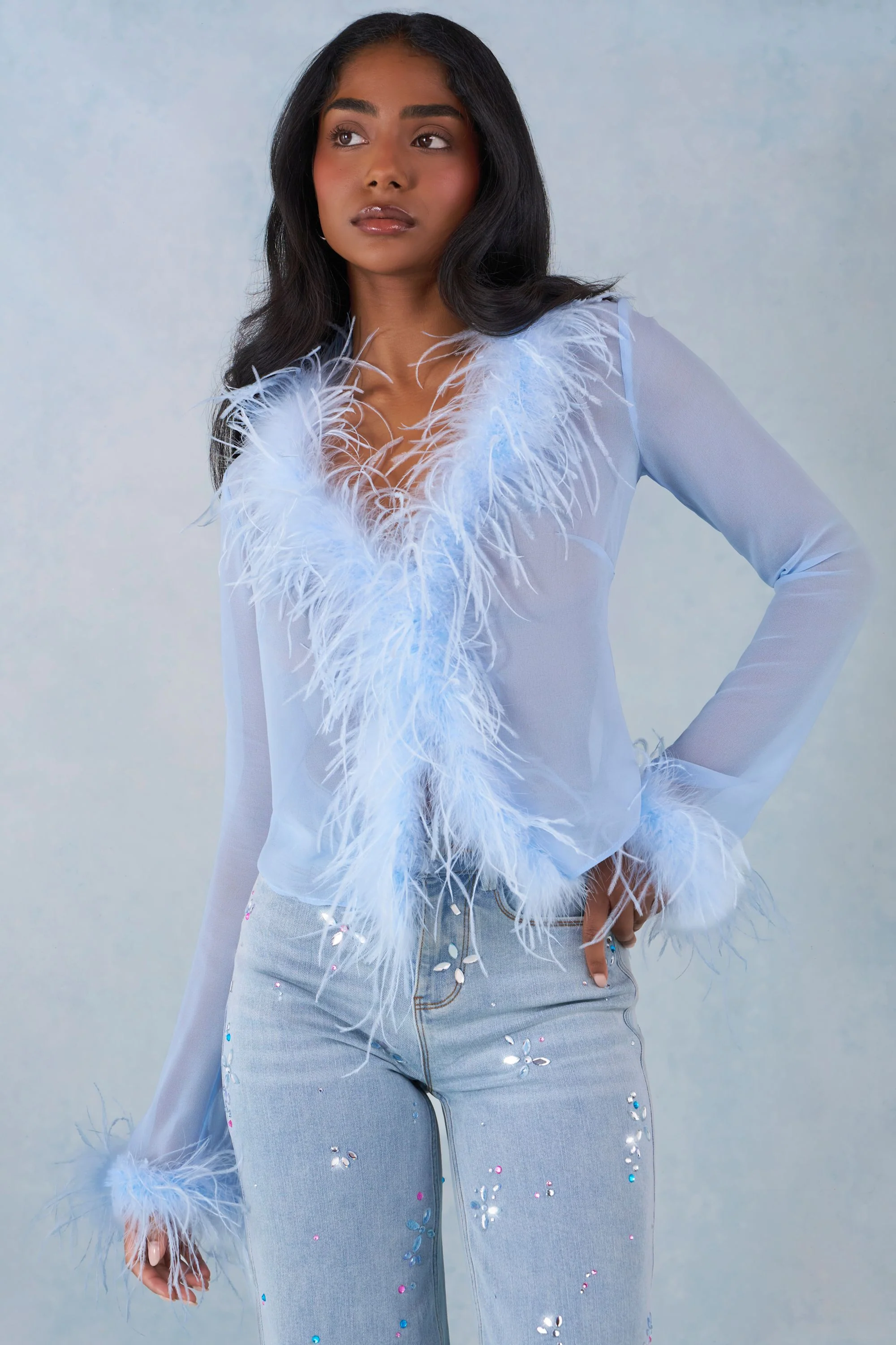Feather Trim Sheer Top in Soft Blue - Image 7