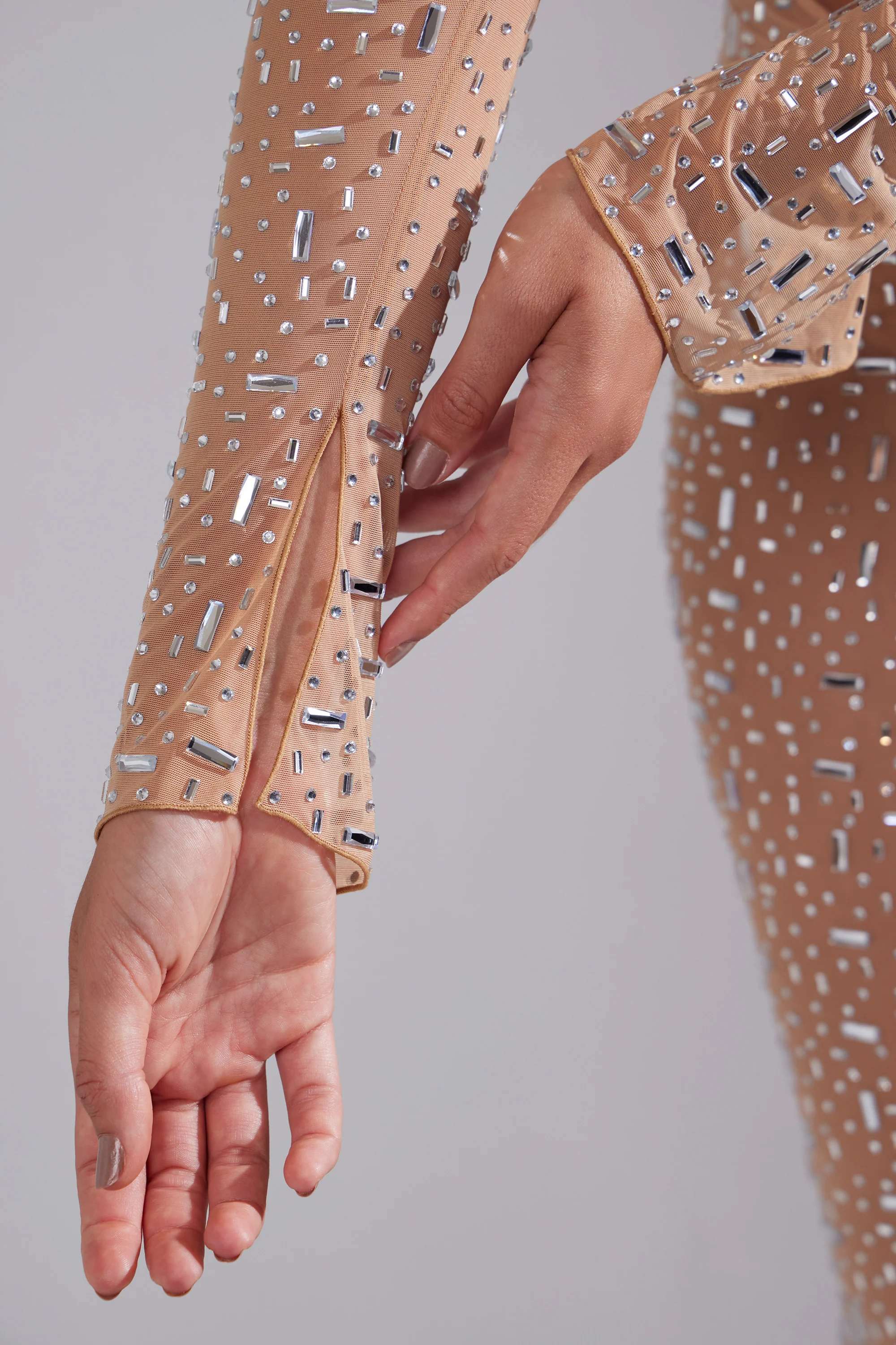 Sheer Embellished Long Sleeve Crop Top in Almond - Image 5