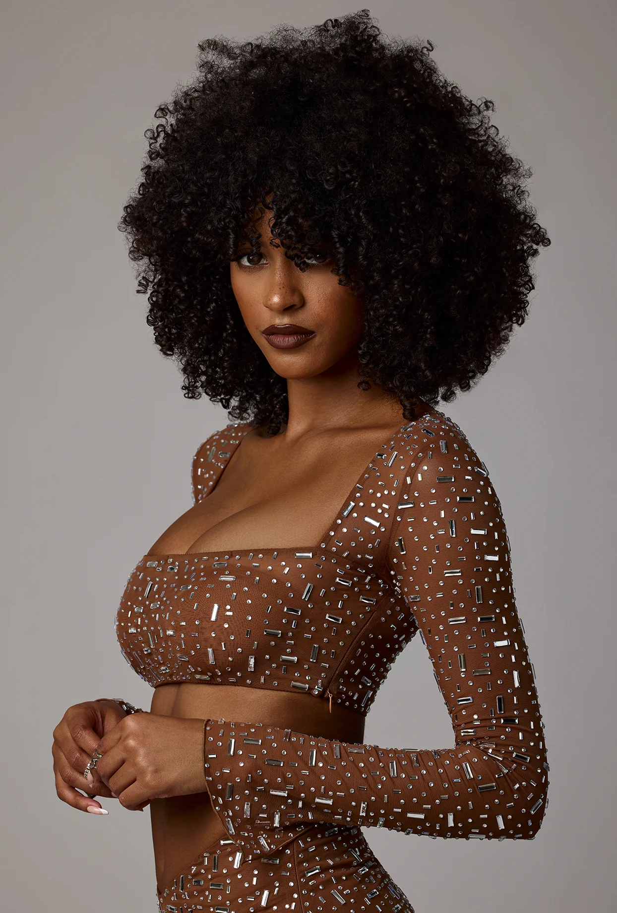 Sheer Embellished Long Sleeve Crop Top in Mocha - Image 3